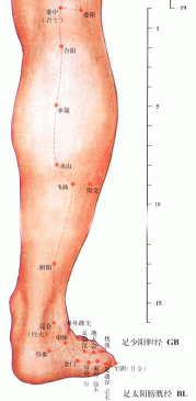 承山穴